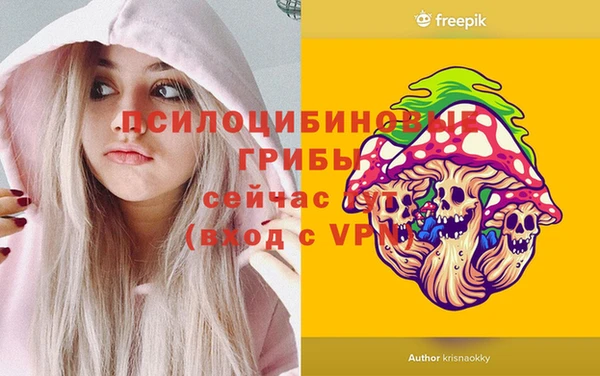 винт Коряжма
