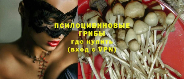 винт Коряжма