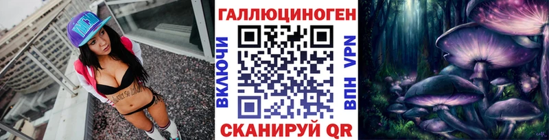 купить   Юрюзань  Псилоцибиновые грибы Psilocybine cubensis 